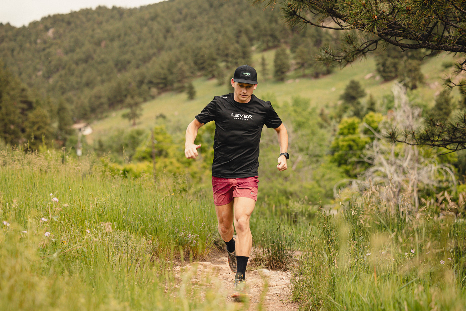 Black Canyon 60k Trail Race Taper